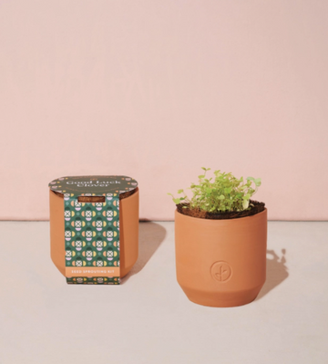 Tiny Terracotta Good Luck Clover