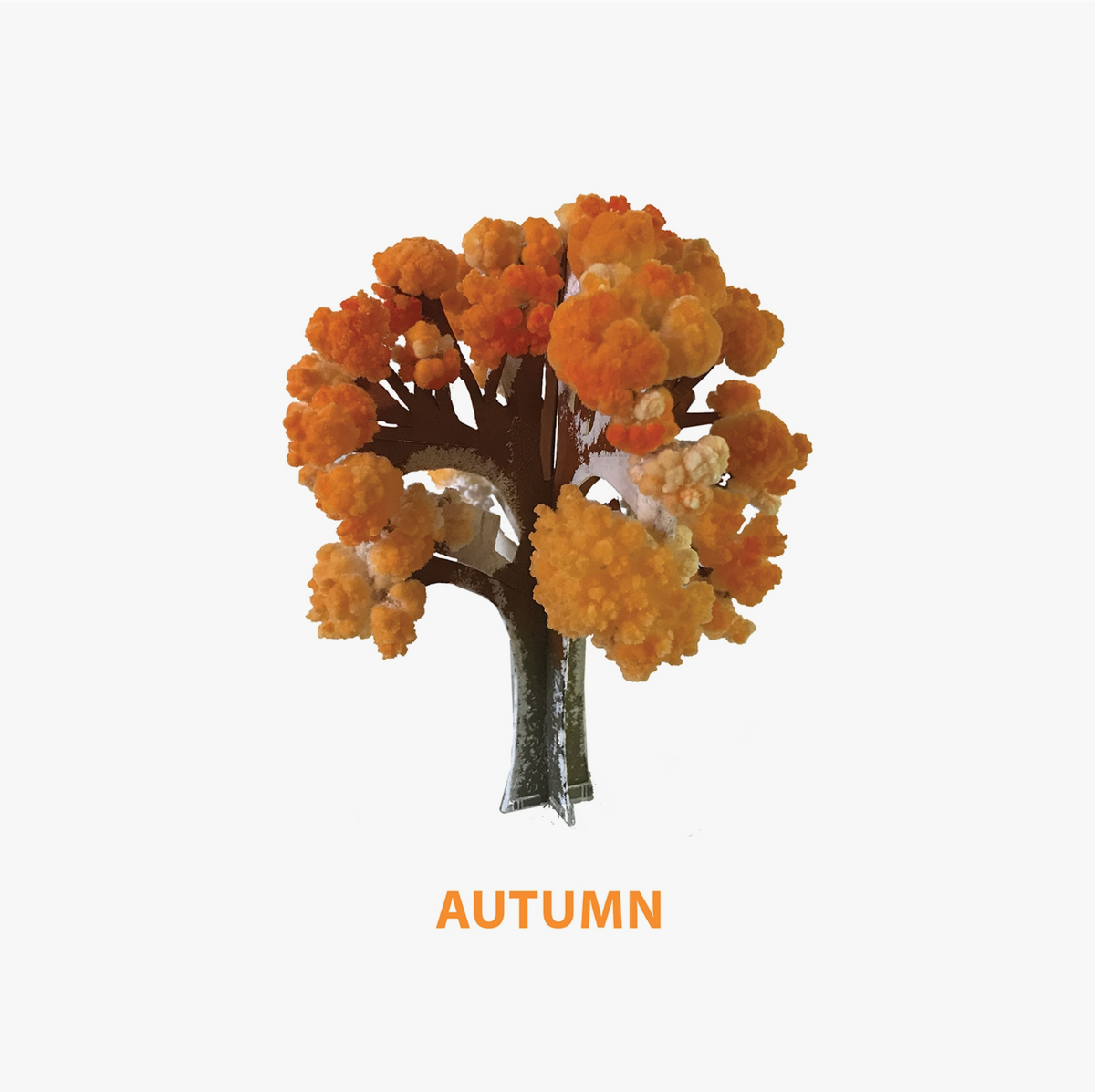 Crystal Growing Seasons