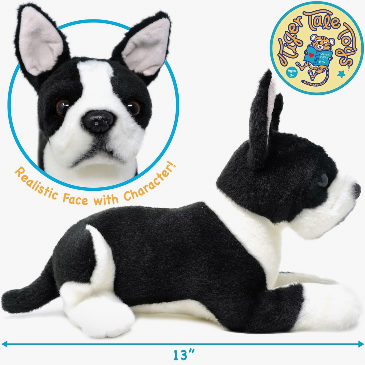 Baxter The Boston Terrier
