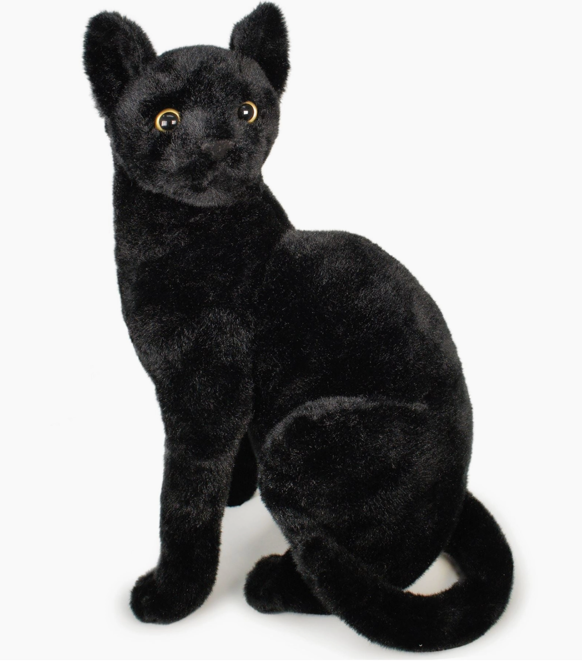 Boone The Black Cat