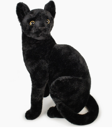 Boone The Black Cat