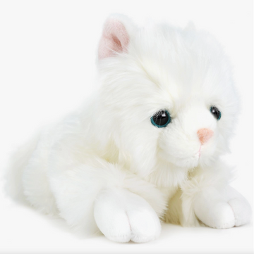 Puff the Persian Cat