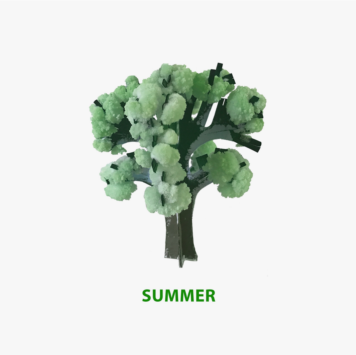 Crystal Growing Seasons