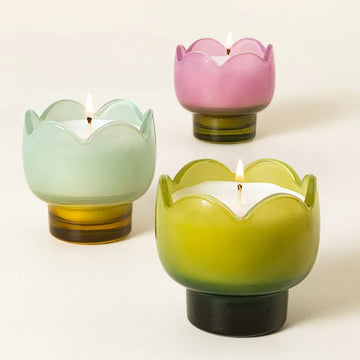 Tulip Glass Candle 5.5oz