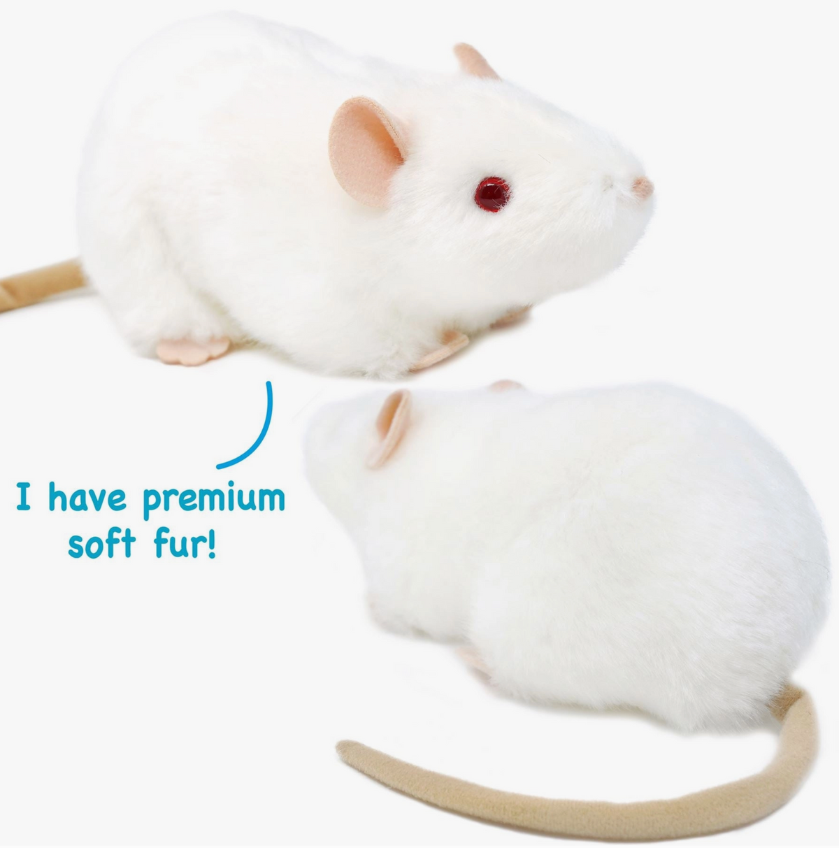 Wylie the White Rat