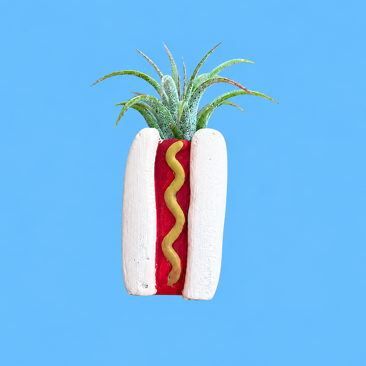 Hotdog Mini Planter and Plant