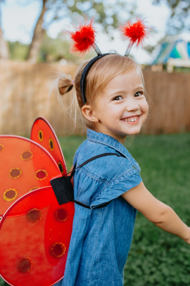 Ladybug Wings & Handband