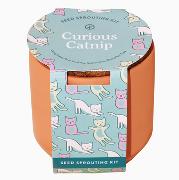 Tiny Terracotta Pet Grow Kit Curious Catnip