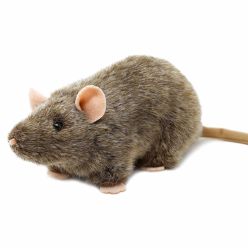 Reuben The Rat Plush