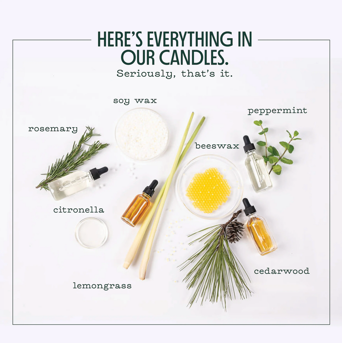 Mosquito Repellent Mini Trio Candles