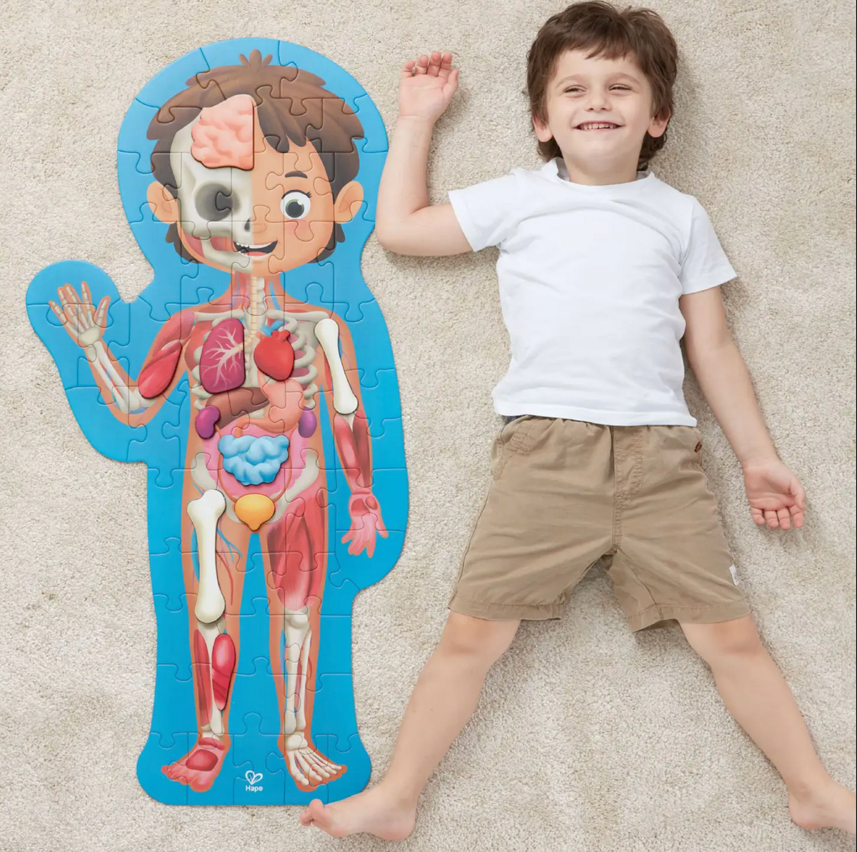 Human Body Puzzle