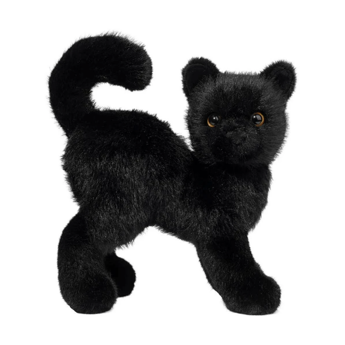 Scaredy Black Cat