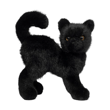 Scaredy Black Cat