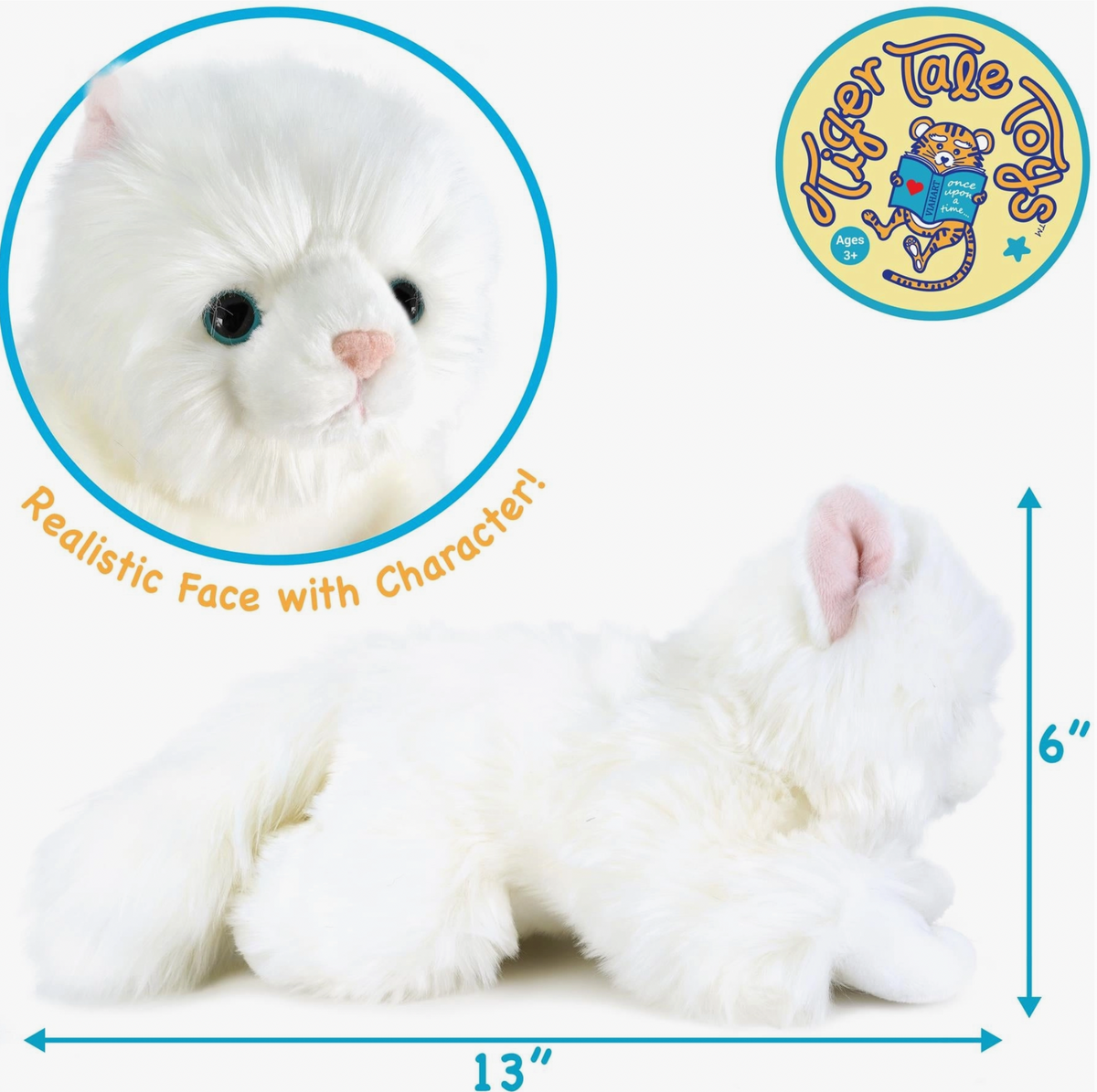 Puff the Persian Cat
