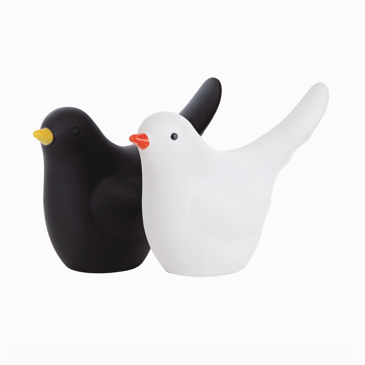Bird Watering Can