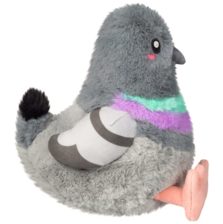 Snacker Pigeon