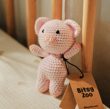 Wyatt the Wiggly Piggly Rattle