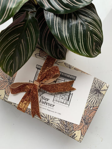 Surprise Curated Gift Box