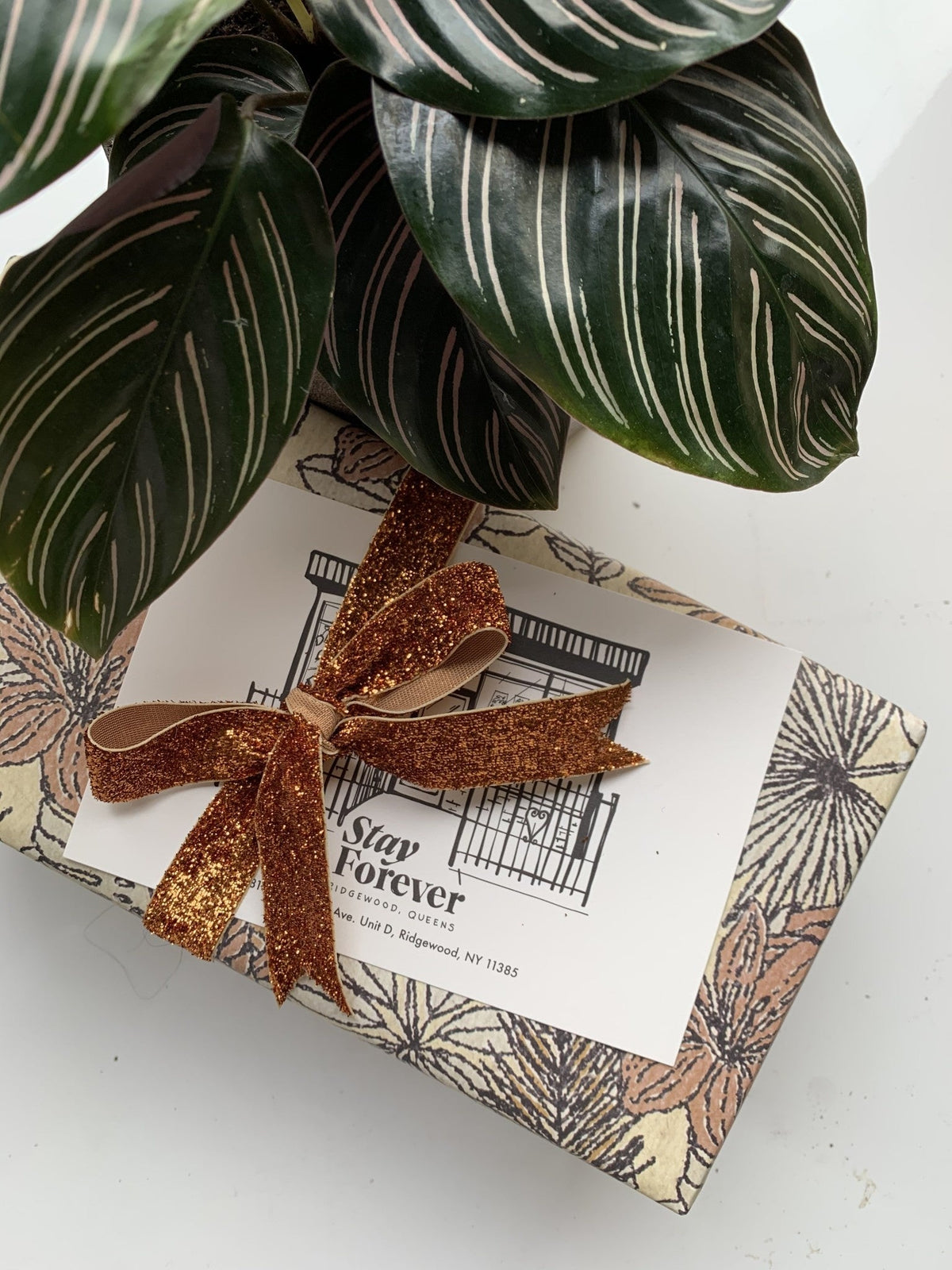 Surprise Curated Gift Box