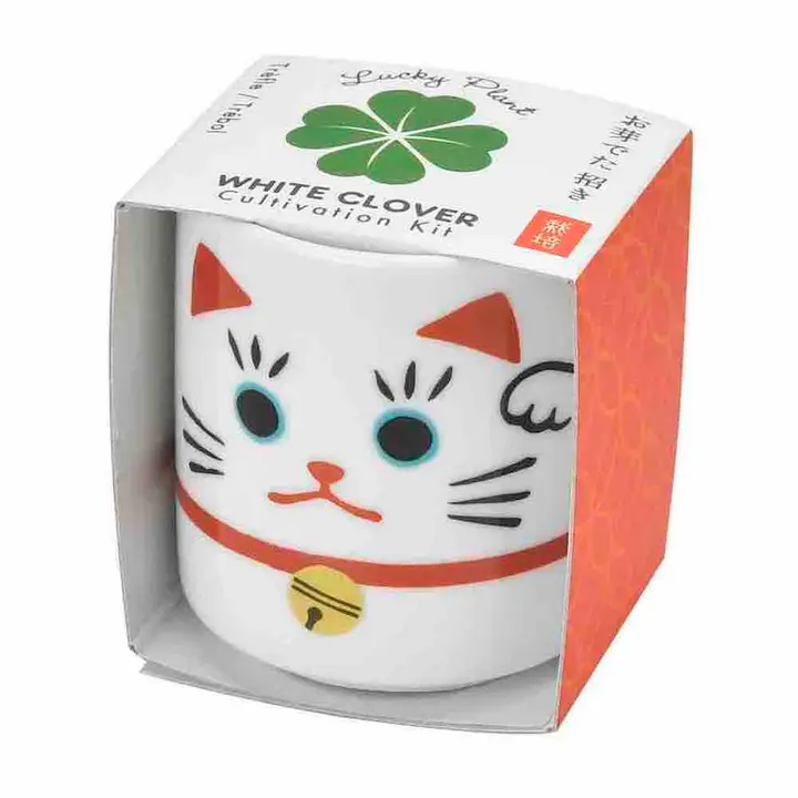 Lucky Plant - Beckoning Cat