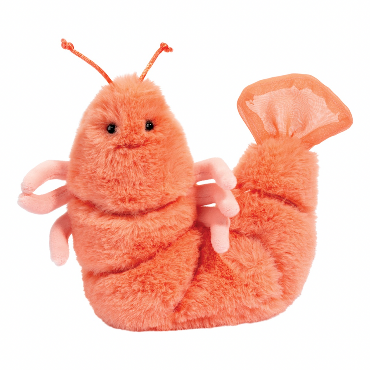 Salty Shrimp