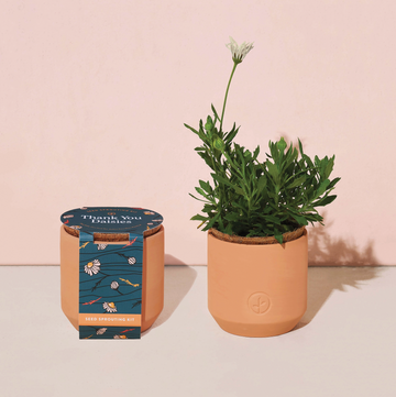 Tiny Terracotta Grow Kits Thank You Daisy