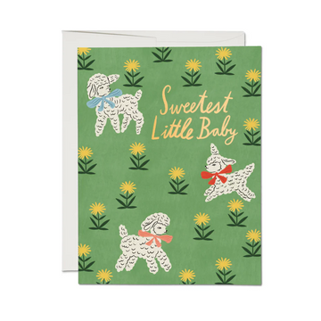 Little Lamb Card