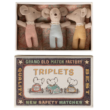 Triplets, Baby mice in matchbox
