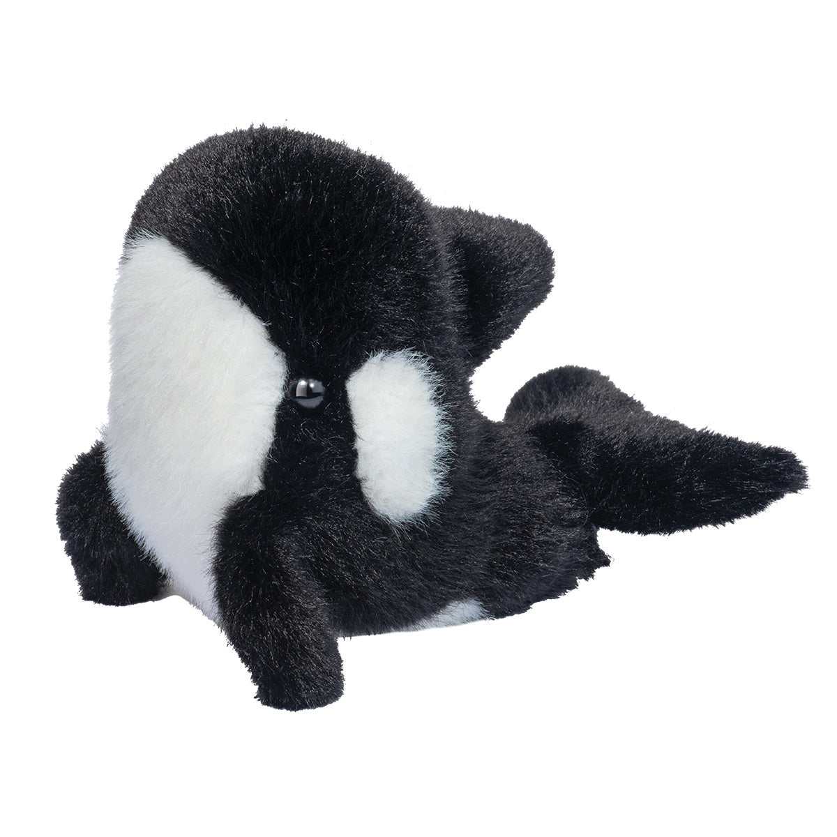 Lil' Baby Orca Whale