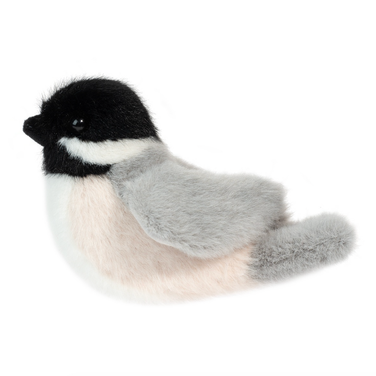 Chipper Chickadee