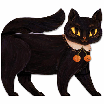One Black Cat