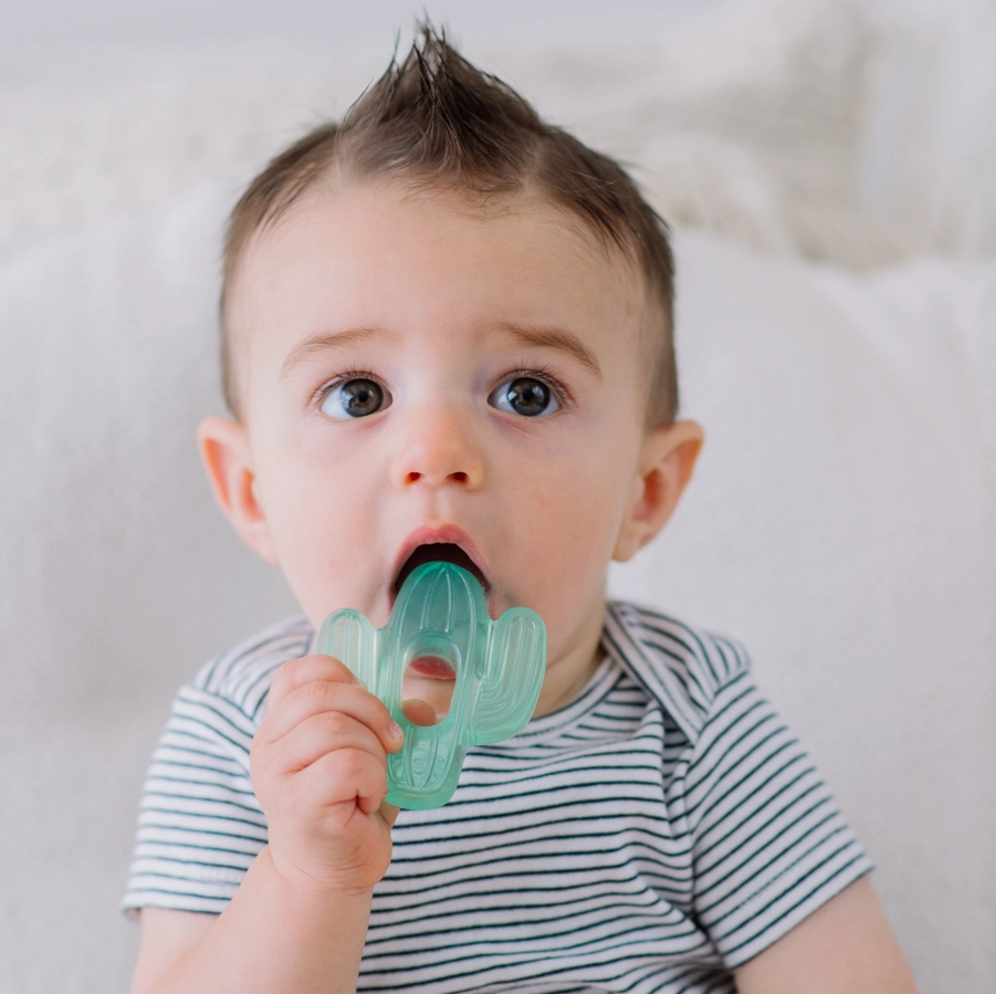 Cutie Coolers™ Water Filled Teethers (3-pack) Cactus