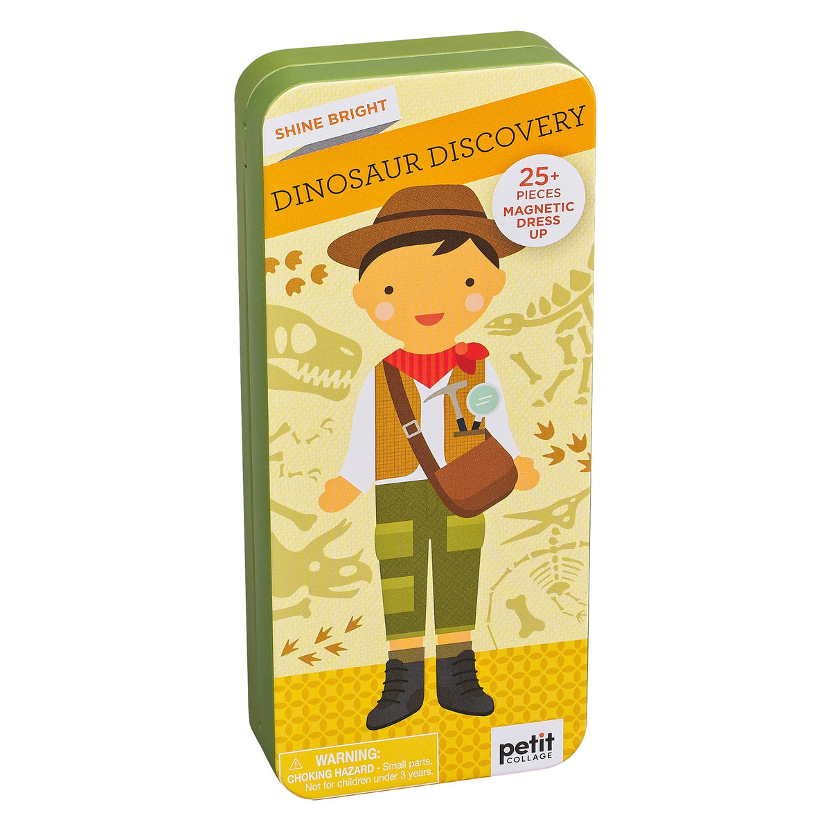 Dinosaur Discovery Magnetic Tin Set