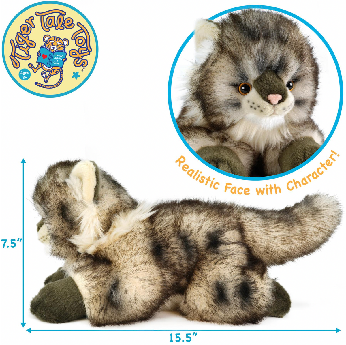 Ricky the Maine Coon